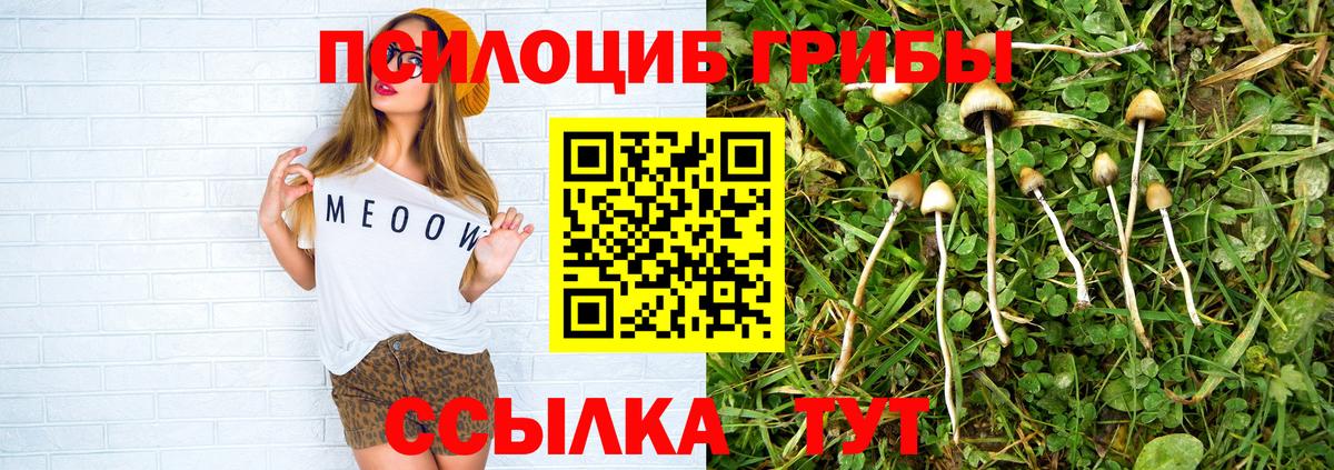 Псилоцибиновые грибы Psilocybine cubensis  магазин продажи наркотиков  Кольчугино  Вход с VPN 