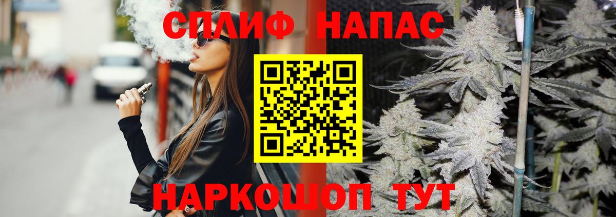 Каннабис план Кольчугино